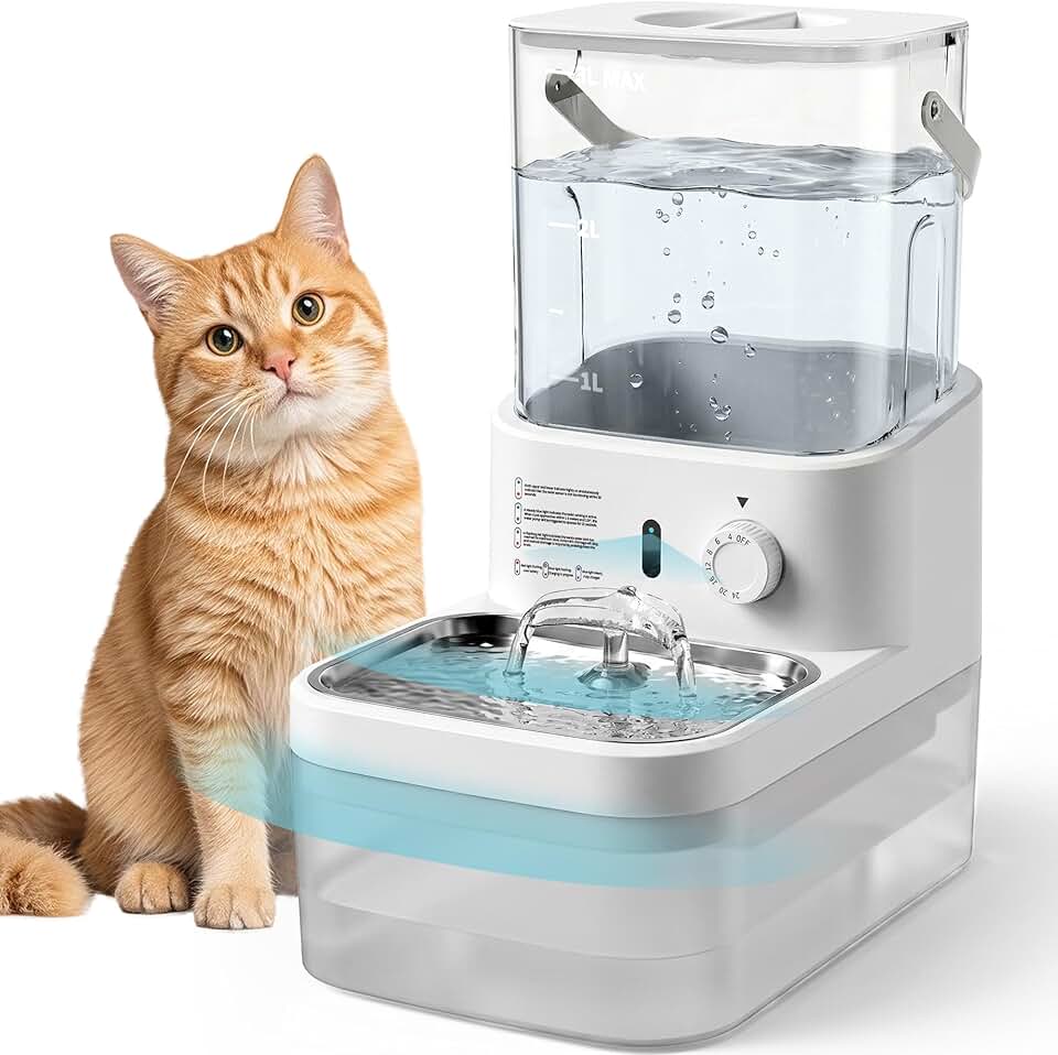 Wireless Cat Fountain